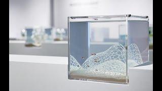 3D-printed aquariums are minimalist and beautiful (Tomorrow Daily 373)