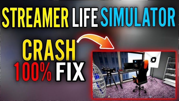 Streamer Life simulator 3D, O Começo