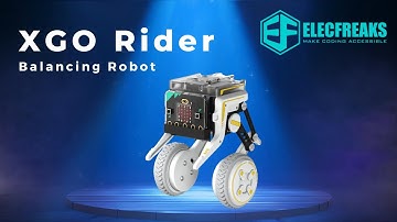XGO Rider Balancing Robot