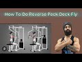 This is how you should perform reverse peck deck fly !! Sets / Reps / Weight / Fully explained✅✅