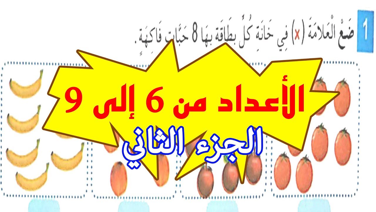 السّنة أولى (1) من التعليم الإبتدائي [ الحصّة 4 ] الأعداد من 6 إلى 9 - الأنشطة صفحة 11
