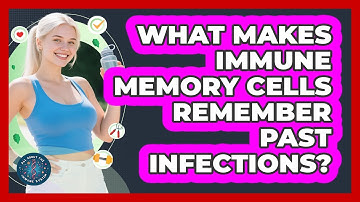 What Makes Immune Memory Cells Remember Past Infections? - All About the Immune System