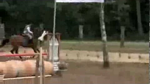 jill springkampioen