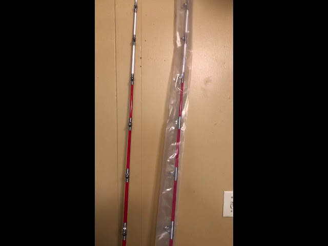 Bnm silver cat elite Clearance