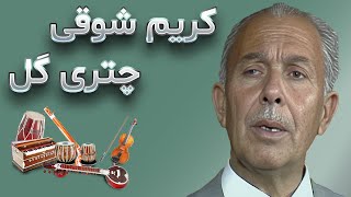 کریم شوقی | چتری چتری گل هستی | Karim Shawqi | Chatri Chatri Gol Hasti