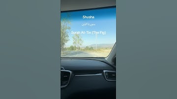 Surah At-Tin (The Fig)سورة التين #quran #daqwah #quotes #history #taqwa #motivation #travel #facts