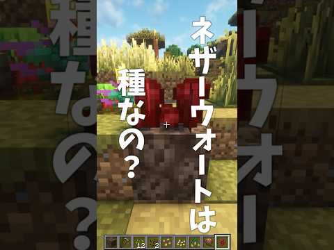 【#Minecraft】オシャレな畑で農業をしたい【Java】 #マイクラ