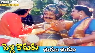 Pelli Koduku Movie Jayamu Jayamu Video Song Naresh Divyavani @skyvideostelugu