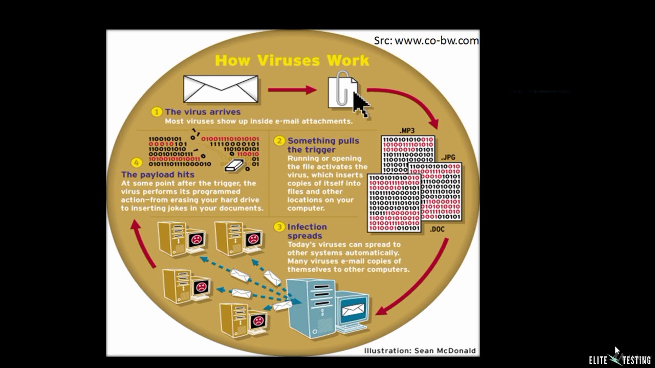 034 What is Backdoor and types of viruses - YouTube