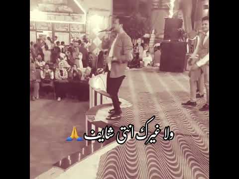 غلطان في غيرتي عارف حالات واتس اب جديده محمود محرم ستوريات 2022