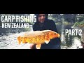 New zealand carp fishing paiter  staiven chez les kiwis part  2