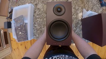 Z Unboxing - Triangle Elara