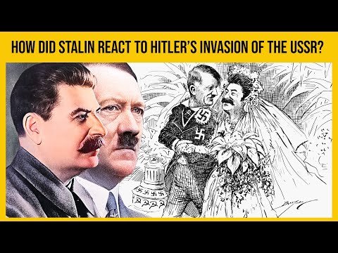 How Did Stalin React To Hitler's Invasion Of The Soviet Union Shorts