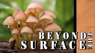 Beyond the Surface | Short Documentary