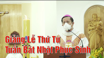 Giảng Lễ Thứ Tư Tuần Bát Nhật Phục Sinh - Đức Cha Giuse  Nguyễn Tấn Tước Giám Mục GP. Phú Cường.