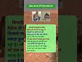 बेहोश सांप को CPR देकर बचाई जान