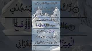 Surah Rahman ♥️ Beautiful Recitation #egzonibrahimi #quran #duaa #shorts #ytshorts