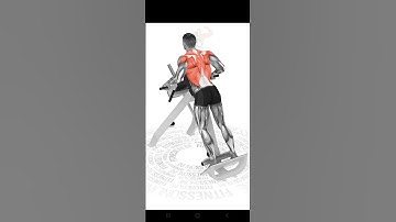 Remada cavalinho máquina pronada