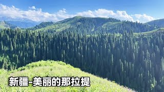 Xinjiang beautiful Nalati sunset! The unmissable beauty of Karajun and Narati is definitely worth a by 行走世界的北京老刘 3,005 views 3 days ago 23 minutes