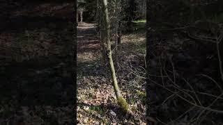 Spazieren Gehen nach dem Fliegen