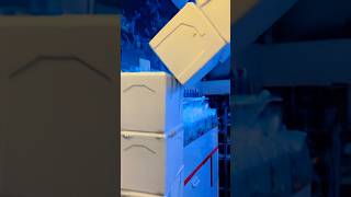 😱¡Una torre de caja trae a los nuevos animales de esta semana!😱
