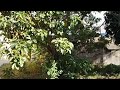 Lundry With Sound Surrounding Me