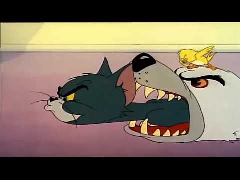 Kitty Foiled still