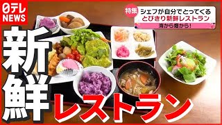 【古民家レストラン】食材はシェフ自ら！ “新鮮野菜×おふくろの味” 400年続く農家が始めたレストラン　『news every.』18時特集