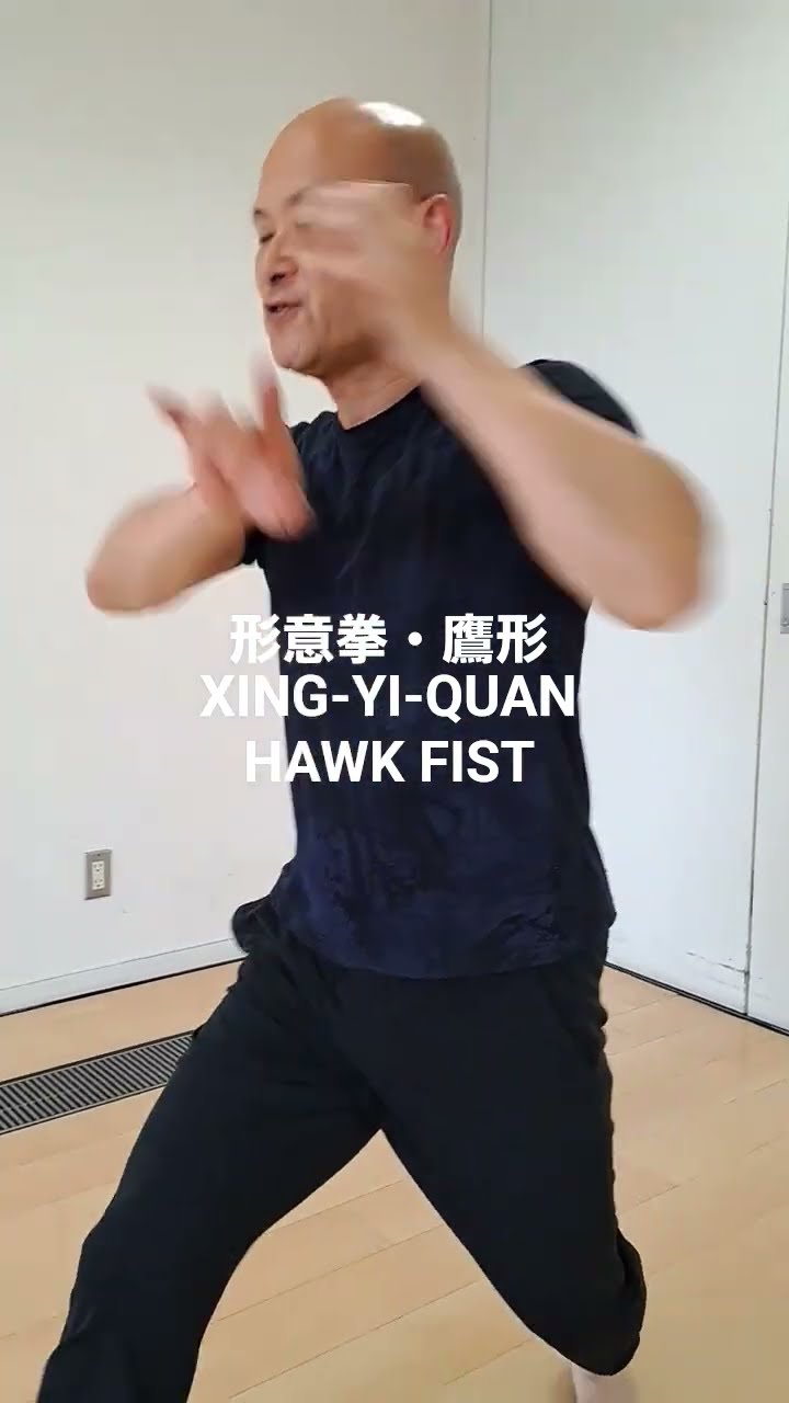 伝統武術《形意拳》鷹形 Martial Art Xing-Yi-Quan 