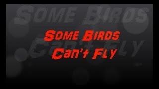 all birds cannot fly 8