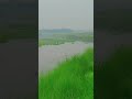 #brso#phle#thi#ndi#huva#krti#He#video #viral #