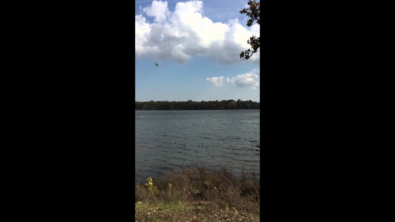 Shawnee Lake YouTube