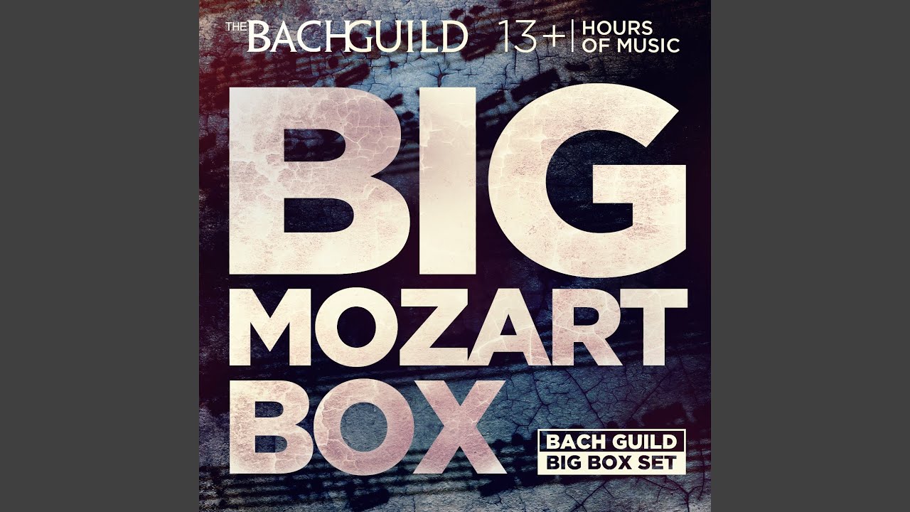 Flute Concerto No. 2 in D Major, K. 314: ii. Adagio ma non troppo