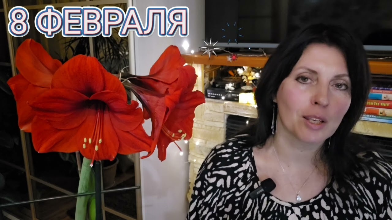 8 ФЕВРАЛЯ АСТРОПРОГНОЗ НА ДЕНЬ 