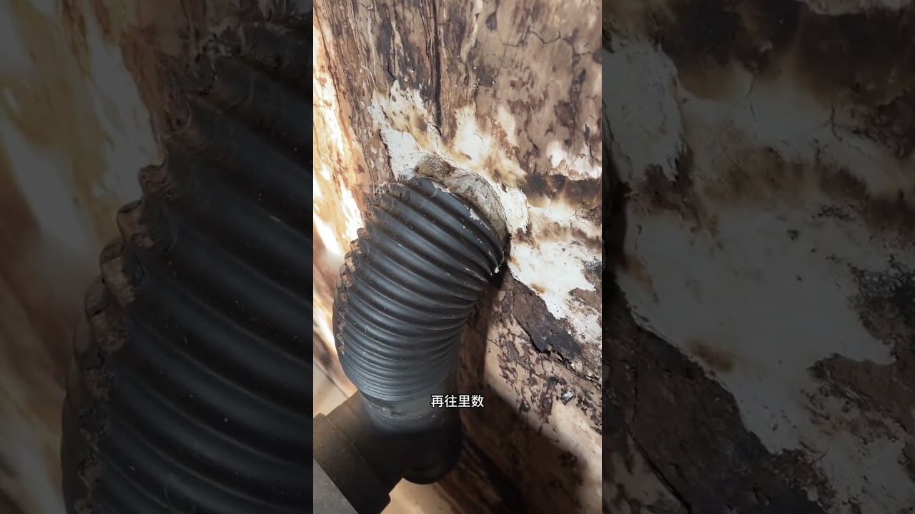 回根河了，给大叔一个惊喜看看大叔见到我什么反应