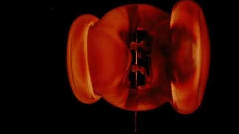 Down to the Wire: A Story of a Vortex Ring Collision