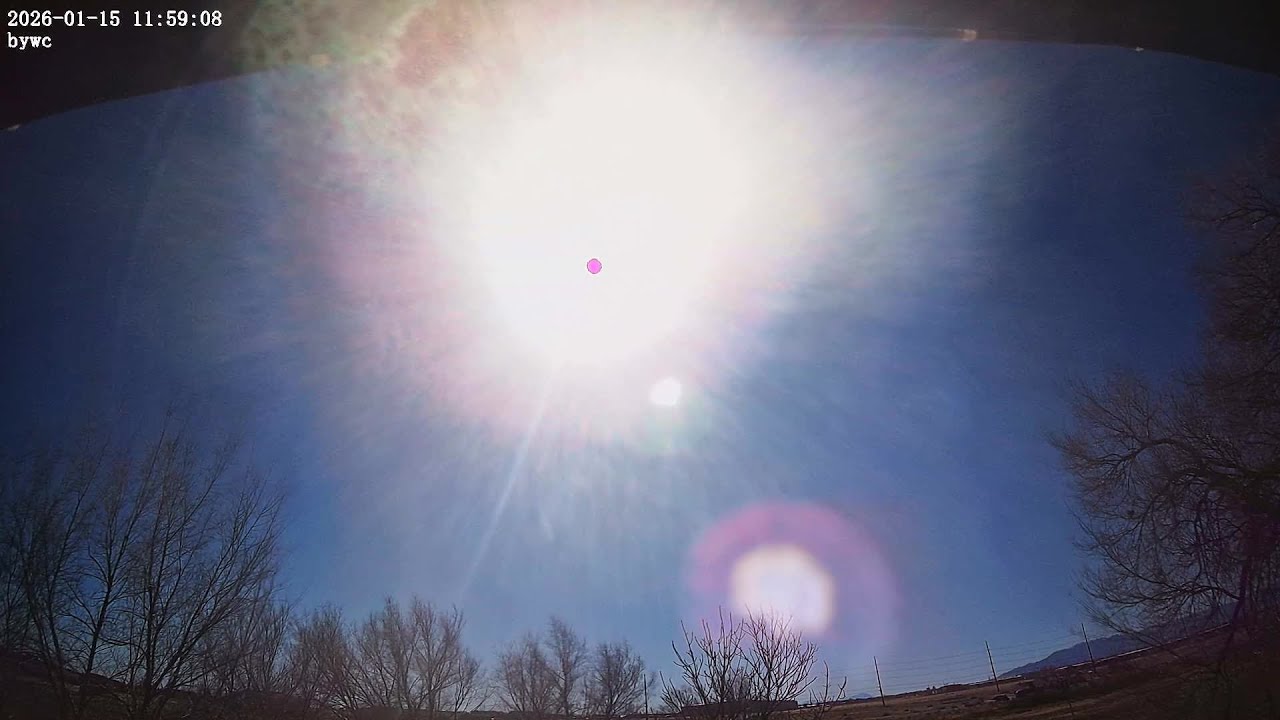 Thu, Jan 15, 2026 Back Yard Weather Cam Timelapse