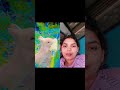 cute rabbit 🐰@rajani kumari Jaat 4539