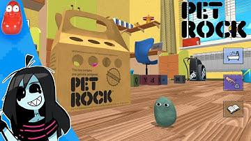 FlutterBug - Pet Rock - Full Stream