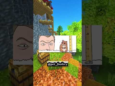 Video Pet puzzle!