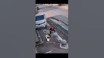 The fun engineer days #ai #coding #programminglife #tech #codinglife #python #html #css #windows