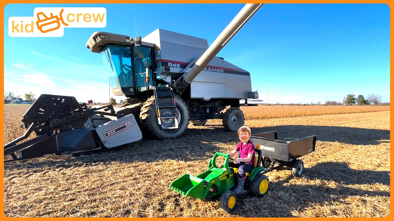 Harvesting with a kid’s electric wheel tractor and a real combine, training farm  Baby crew