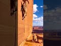 Cheetahs Wait Below for Falling Markhor 😳🐆🏔️