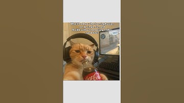 Use these tips to learn Russian today!! #dothingsyoudontwanttodo #memes #airlearn