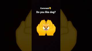 do you like dog/prakash brothers
