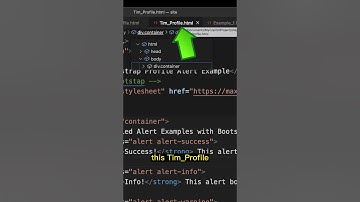 Pin VS Code Tabs?