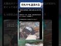 #高市早苗 #自民党 #税金 #政治