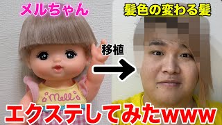 【大成功】メルちゃんの髪をエクステして髪色の変わる髪型になったwww