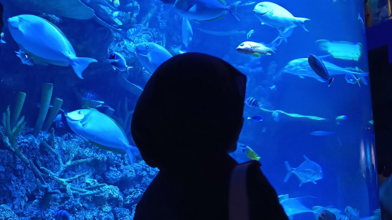 BXSea with UnaArkaDevan! 