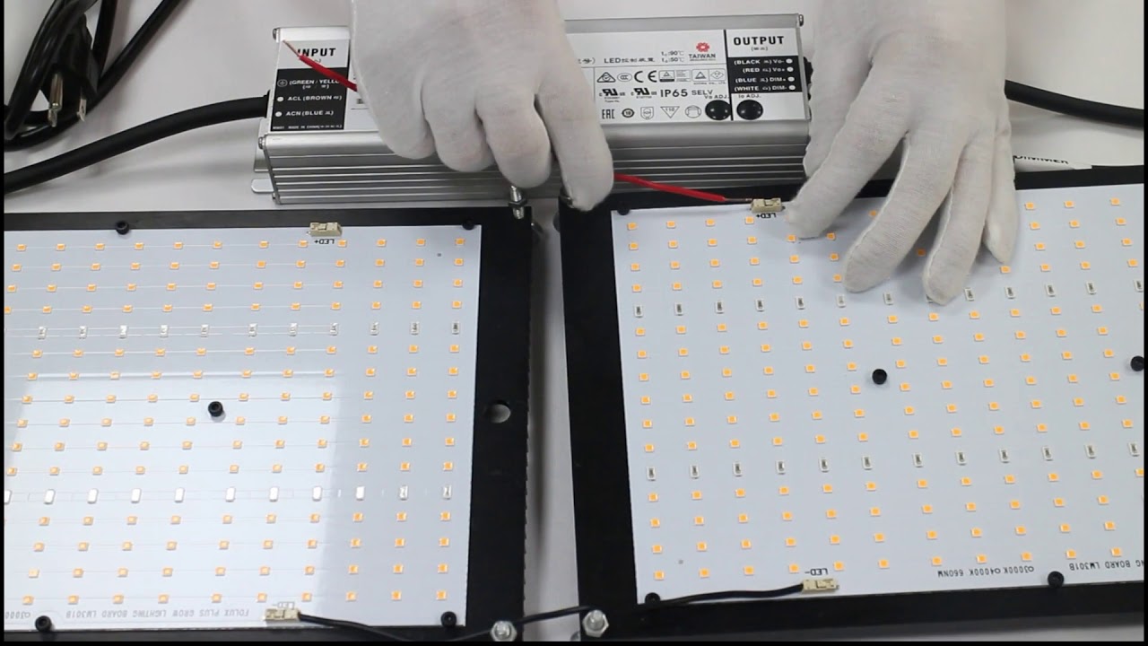 MeiJiu 288 leds 301B 240w grow light FOLUX-PLUS-V2-240H-2-326 with dimmer build in